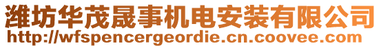 濰坊華茂晟事機(jī)電安裝有限公司