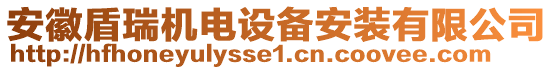 安徽盾瑞機(jī)電設(shè)備安裝有限公司