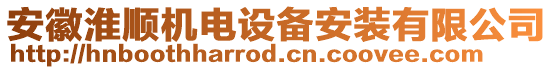 安徽淮順機(jī)電設(shè)備安裝有限公司