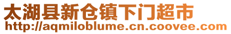 太湖縣新倉(cāng)鎮(zhèn)下門超市