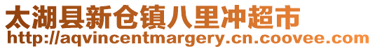 太湖縣新倉鎮(zhèn)八里沖超市