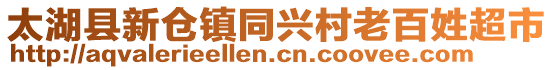 太湖縣新倉鎮(zhèn)同興村老百姓超市