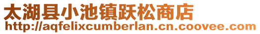 太湖縣小池鎮(zhèn)躍松商店