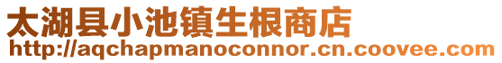 太湖縣小池鎮(zhèn)生根商店