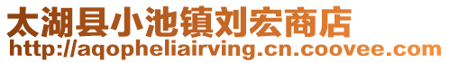 太湖縣小池鎮(zhèn)劉宏商店