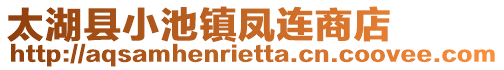 太湖縣小池鎮(zhèn)鳳連商店