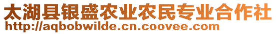 太湖縣銀盛農(nóng)業(yè)農(nóng)民專業(yè)合作社