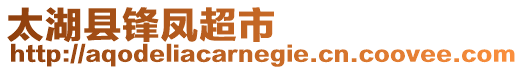 太湖縣鋒鳳超市