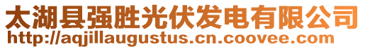 太湖縣強(qiáng)勝光伏發(fā)電有限公司