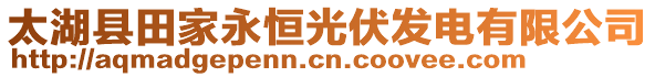 太湖縣田家永恒光伏發(fā)電有限公司