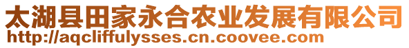 太湖縣田家永合農(nóng)業(yè)發(fā)展有限公司