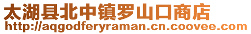 太湖县北中镇罗山口商店