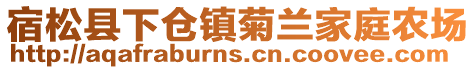 宿松县下仓镇菊兰家庭农场