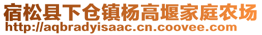 宿松縣下倉鎮(zhèn)楊高堰家庭農(nóng)場