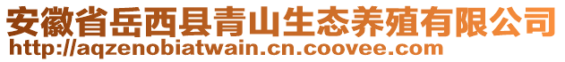 安徽省岳西县青山生态养殖有限公司