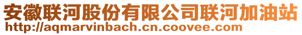 安徽聯(lián)河股份有限公司聯(lián)河加油站