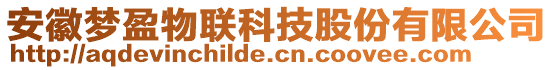 安徽夢盈物聯(lián)科技股份有限公司