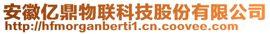 安徽億鼎物聯(lián)科技股份有限公司