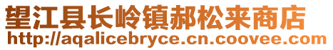 望江县长岭镇郝松来商店