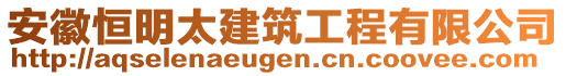 安徽恒明太建筑工程有限公司