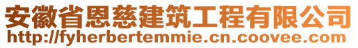 安徽省恩慈建筑工程有限公司