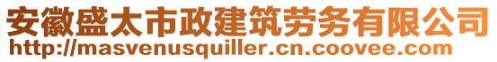 安徽盛太市政建筑勞務(wù)有限公司