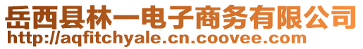 岳西县林一电子商务有限公司