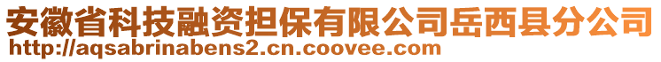 安徽省科技融资担保有限公司岳西县分公司