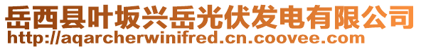 岳西縣葉坂興岳光伏發(fā)電有限公司