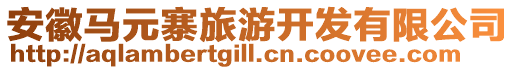 安徽馬元寨旅游開發(fā)有限公司