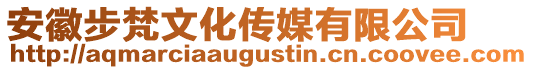 安徽步梵文化傳媒有限公司