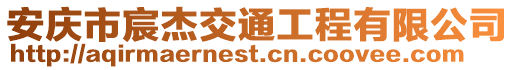 安慶市宸杰交通工程有限公司