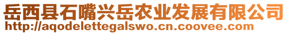 岳西縣石嘴興岳農(nóng)業(yè)發(fā)展有限公司