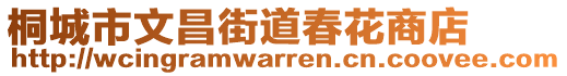 桐城市文昌街道春花商店