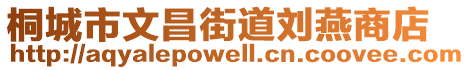 桐城市文昌街道劉燕商店