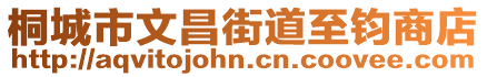 桐城市文昌街道至鈞商店