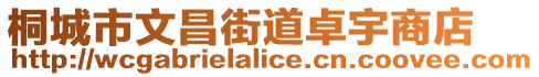 桐城市文昌街道卓宇商店