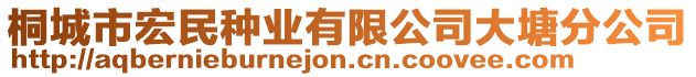 桐城市宏民種業(yè)有限公司大塘分公司