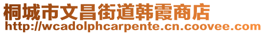 桐城市文昌街道韓霞商店