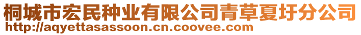 桐城市宏民種業(yè)有限公司青草夏圩分公司