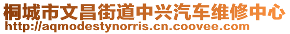 桐城市文昌街道中興汽車維修中心