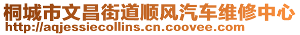 桐城市文昌街道順風(fēng)汽車維修中心