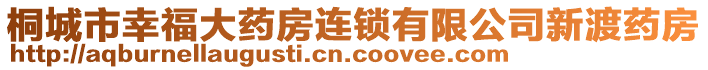 桐城市幸福大藥房連鎖有限公司新渡藥房