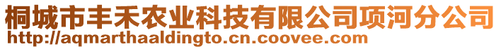桐城市豐禾農(nóng)業(yè)科技有限公司項河分公司