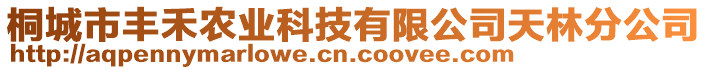 桐城市豐禾農(nóng)業(yè)科技有限公司天林分公司