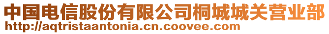 中國電信股份有限公司桐城城關(guān)營業(yè)部