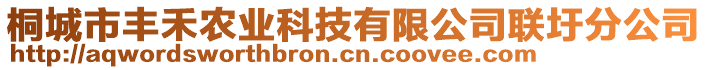 桐城市豐禾農(nóng)業(yè)科技有限公司聯(lián)圩分公司