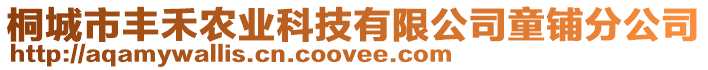 桐城市豐禾農(nóng)業(yè)科技有限公司童鋪分公司