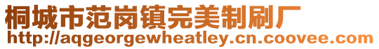 桐城市范崗鎮完美制刷廠
