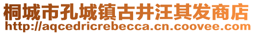 桐城市孔城鎮(zhèn)古井汪其發(fā)商店